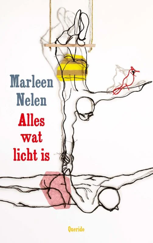 Flitsaanbieding Alles wat licht is