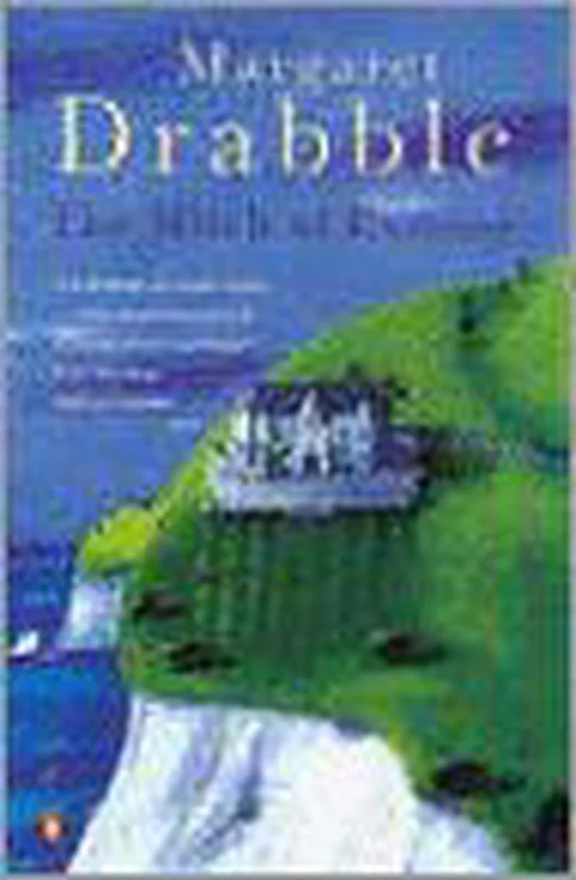 Direct Verzonden The Witch of Exmoor