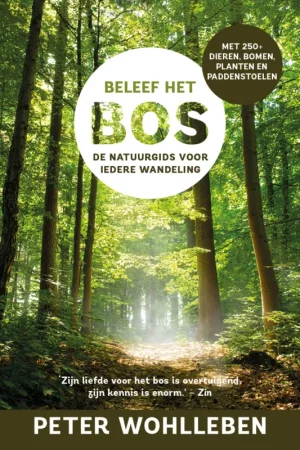 Beleef het bos Aanbieding