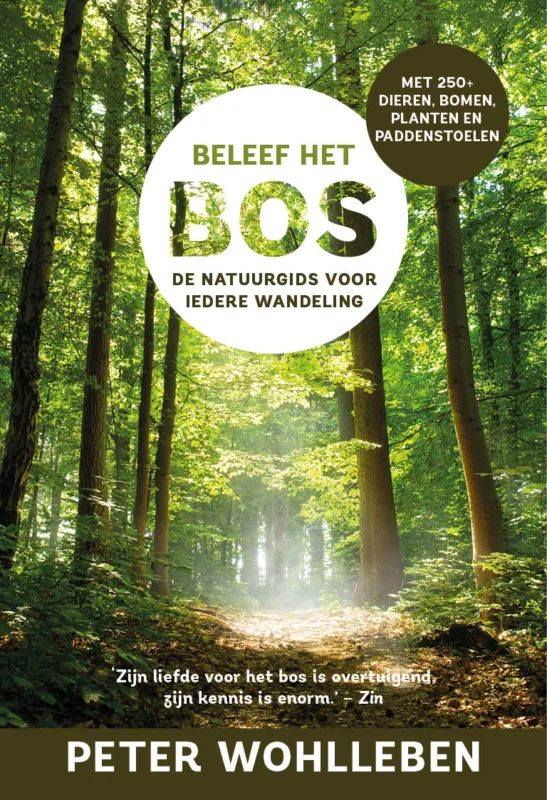 Beleef het bos Aanbieding