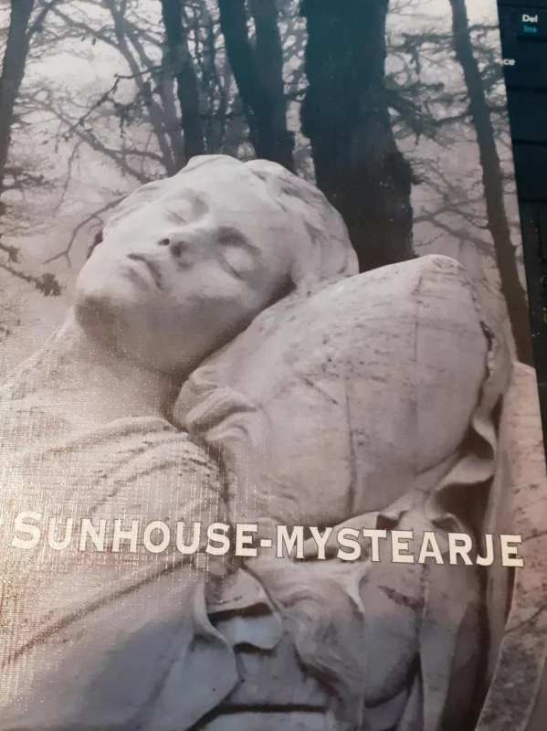 It sunhousemystearje / KFFB / 481 Hete Deal
