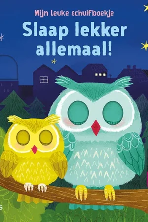 Aanbieding Slaap lekker allemaal! / Mijn leuke schuifboekje