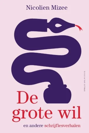 Voordeelprijs De grote wil en andere schrijflesverhalen