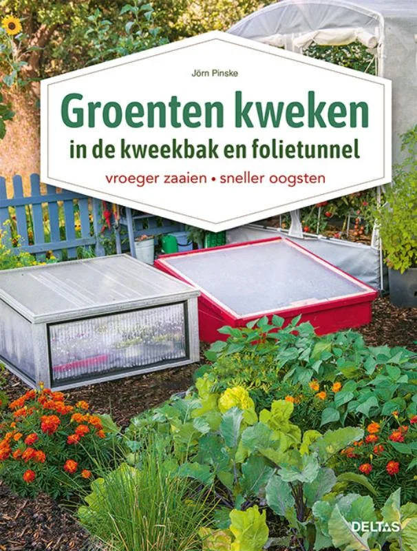 Groenten kweken in de kweekbak en folietunnel Uitverkoop