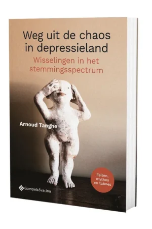 Weg uit de chaos in depressieland Merkproduct