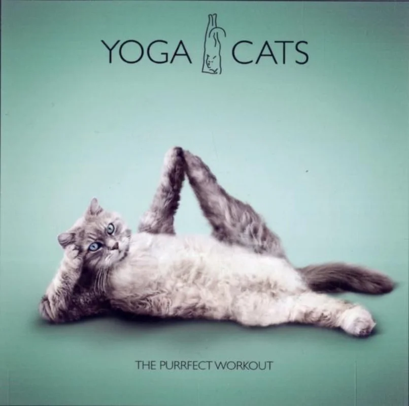 Yoga Cats Beperkte Voorraad