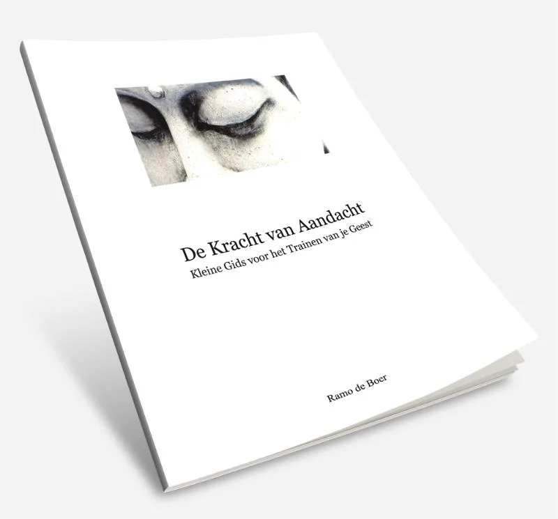 De Kracht van Aandacht Voordeelprijs