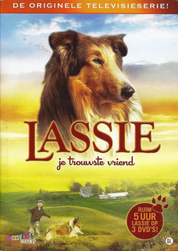 Lassie Box 1 Betrouwbaar