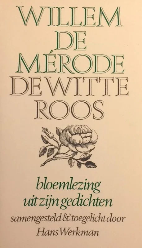 Hoge Kwaliteit WITTE ROOS, DE
