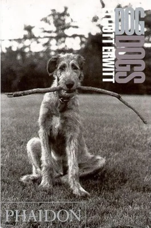 DogDogs Aanbieding