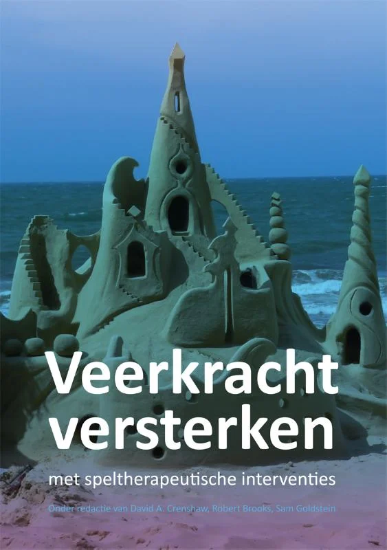 Veerkracht versterken met speltherapeutische interventies Gecertificeerd