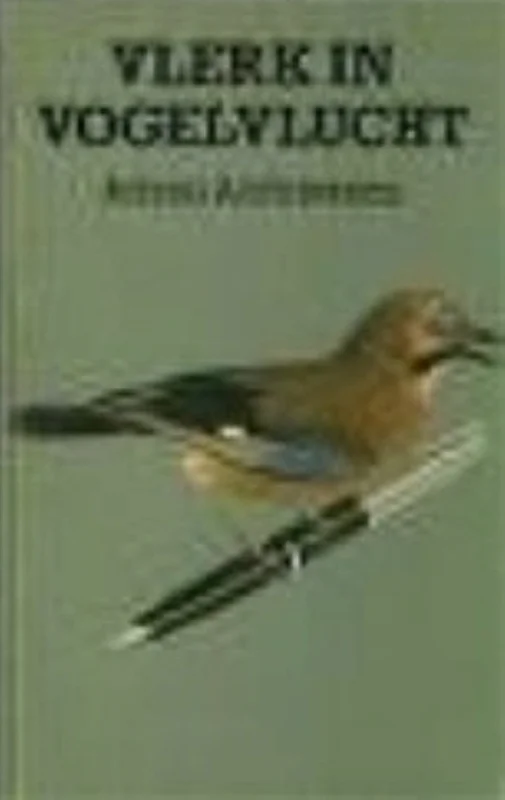 Direct Beschikbaar Vlerk in vogelvlucht