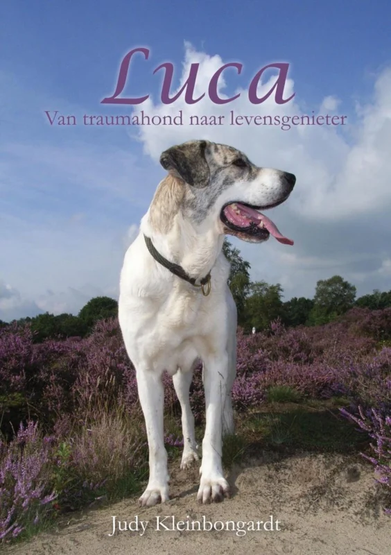 Luca - van traumahond naar levensgenieter Bestel Nu