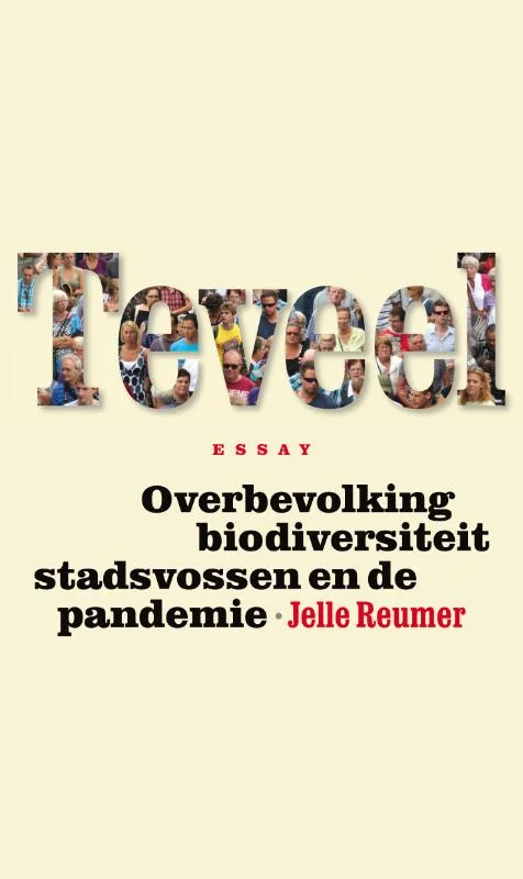 Direct Beschikbaar Teveel