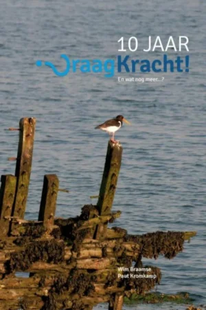 10 jaar vraagkracht Rechtstreeks Van De Fabrikant