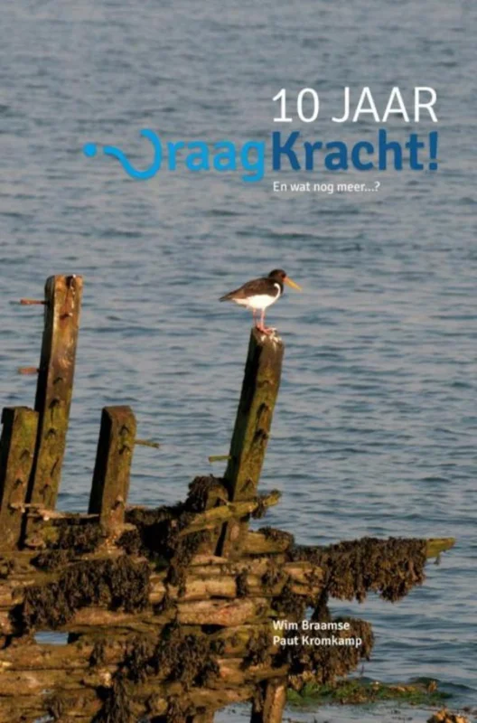 10 jaar vraagkracht Rechtstreeks Van De Fabrikant