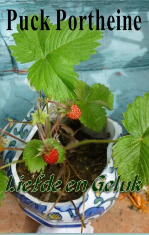 Liefde en geduld Alleen Vandaag