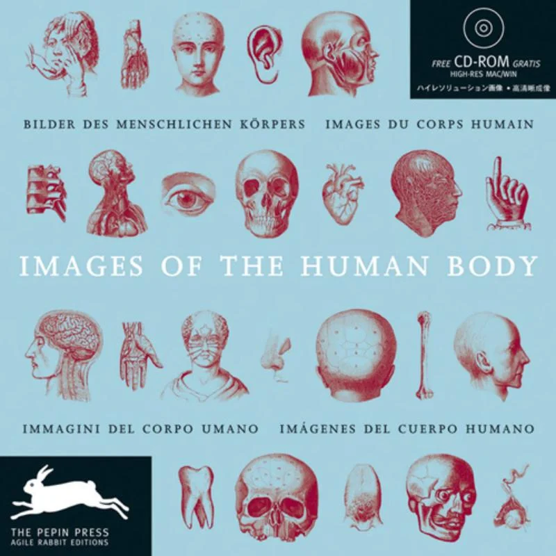 Images Of The Human Body Laatste Kans