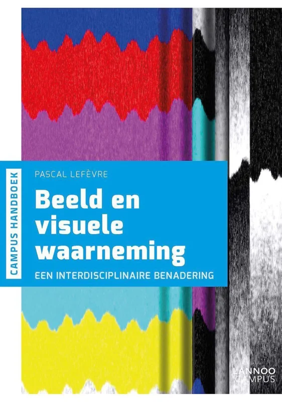 Beeld en visuele waarneming Koop Vandaag
