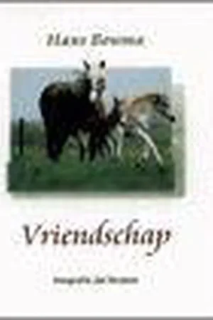 Vriendschap Tijdelijk Beschikbaar