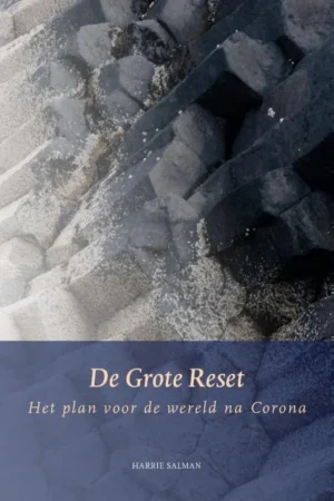 Actieprijs De Grote Reset