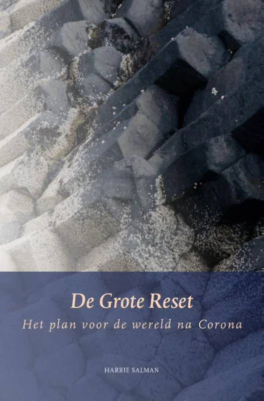 Actieprijs De Grote Reset