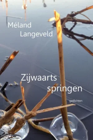 Zijwaarts springen Express Levering