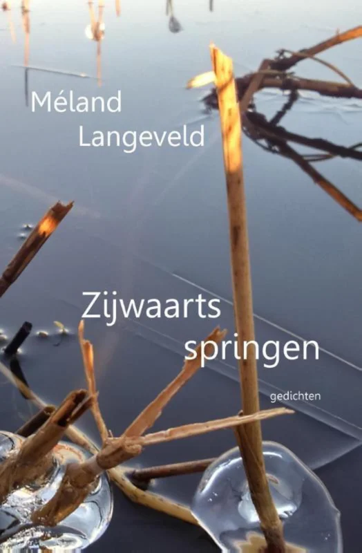 Zijwaarts springen Express Levering