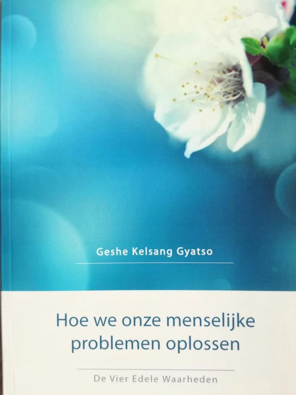 Hoe we onze menselijke problemen oplossen Superprijs