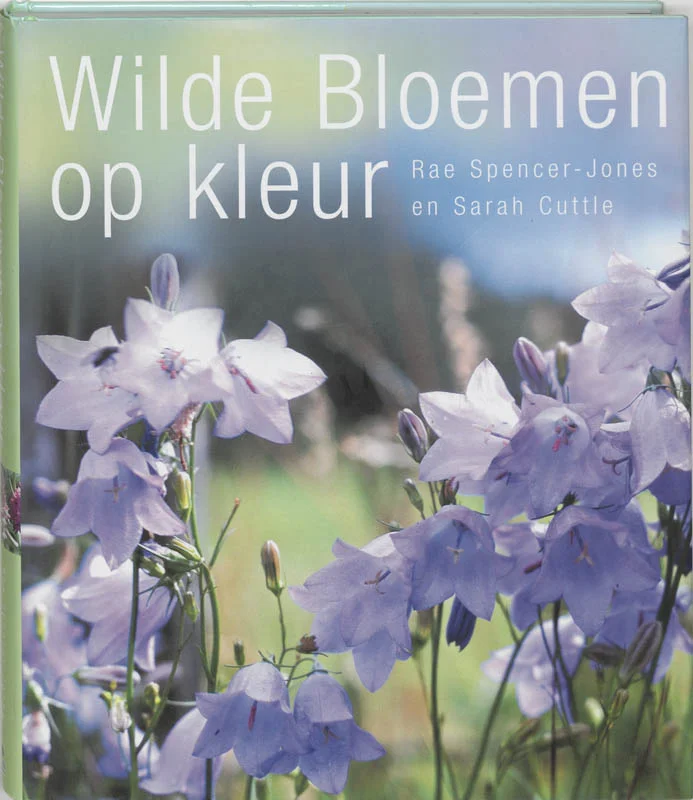 Wilde bloemen op kleur Alleen Vandaag