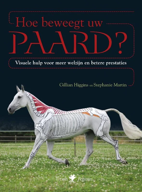 Gereduceerde Prijs Hoe beweegt uw paard