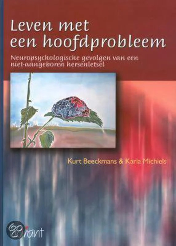 Aanbieding Leven Met Een Hoofdprobleem