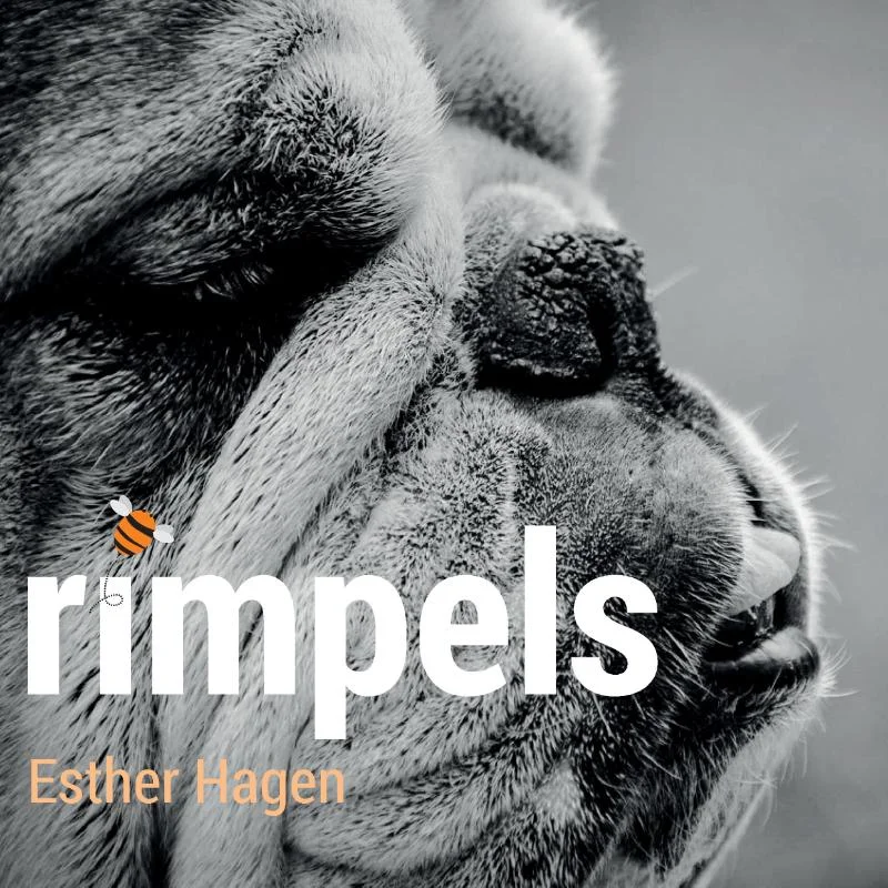 Rimpels Actieprijs