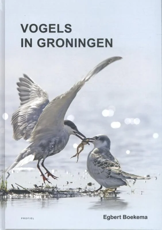 Vogels in Groningen Weekendaanbieding