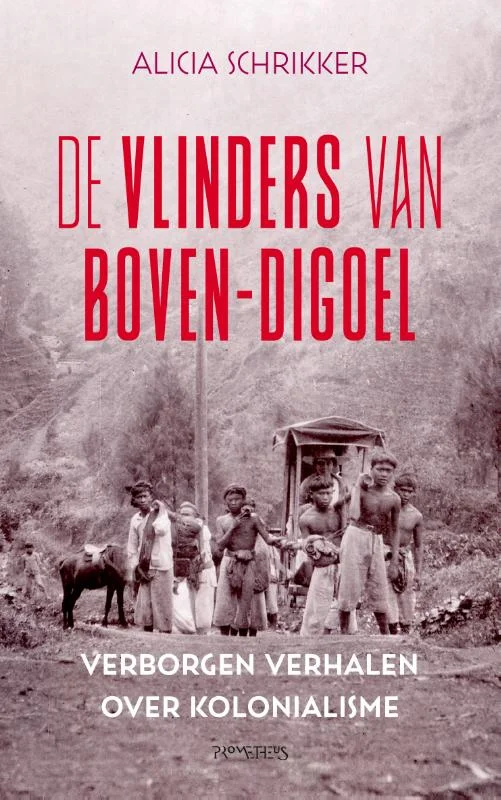 De vlinders van Boven-Digoel Seizoensaanbieding