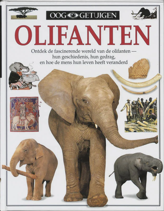 Ooggetuigen Olifanten Meest Verkocht