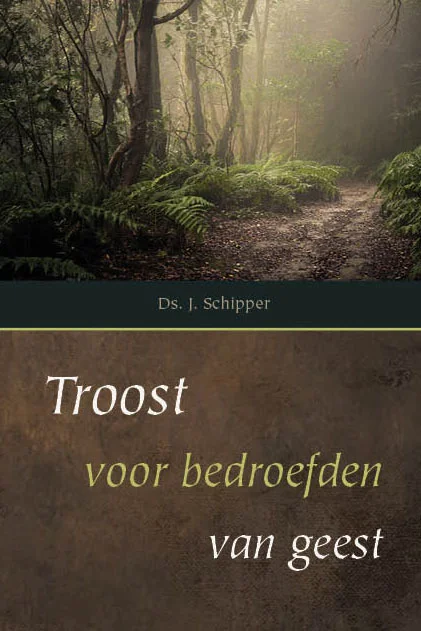 Snelle Levering Troost voor bedroefden van geest