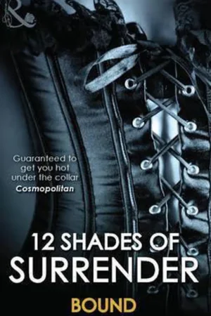 12 Shades of Surrender Bound Aanbieding