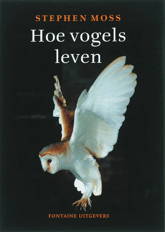 Lage Prijs Hoe vogels leven