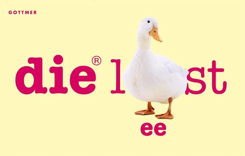 Favoriet Die® leest / Die®