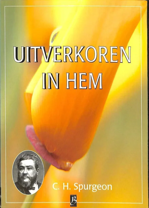 Uitverkoren in hem Nu Kopen