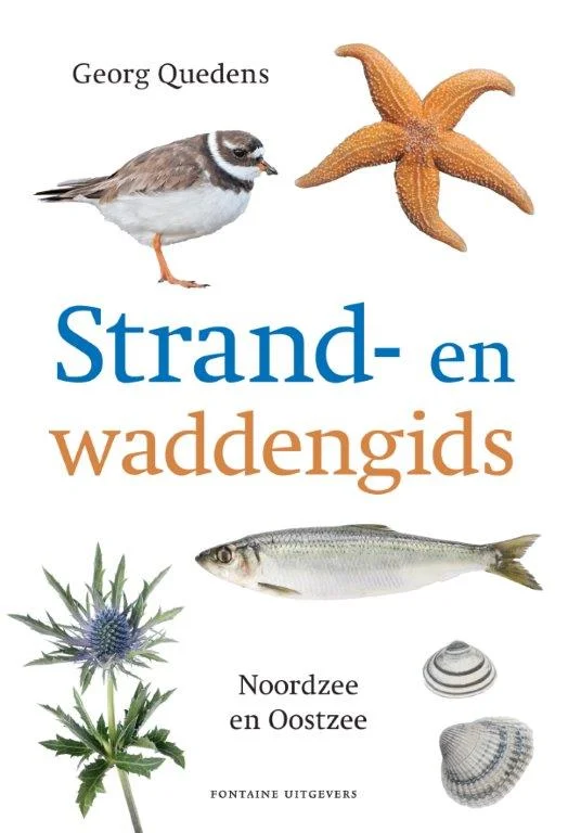 Strand- en waddengids Premium
