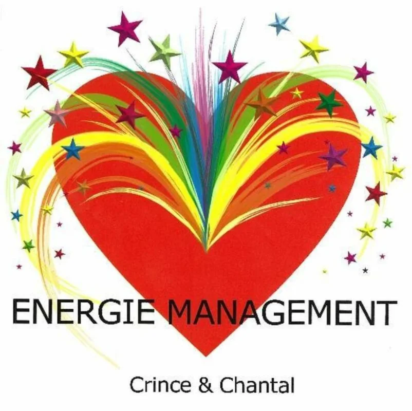 Direct Verzonden Energie Management