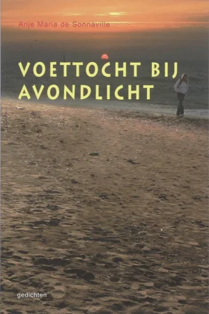 Voettocht Bij Avondlicht Alleen Vandaag