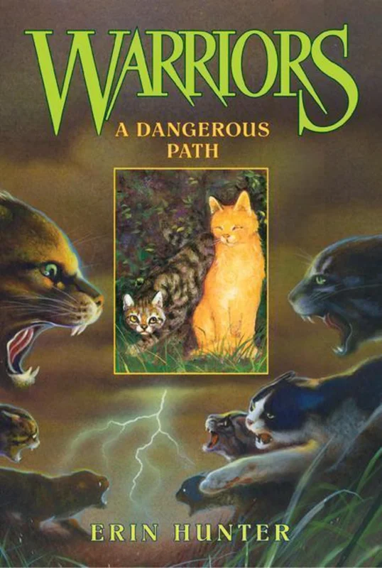 Superprijs A Dangerous Path