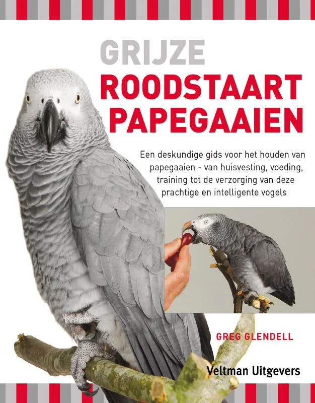 Meest Verkocht Grijze roodstaartpapegaaien