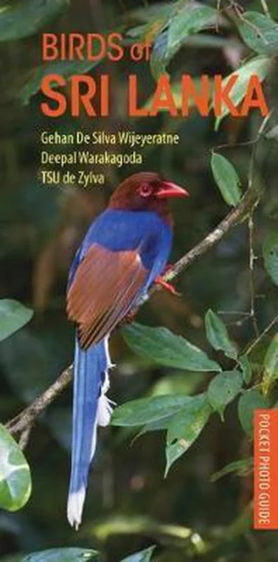 Must-Have Birds of Sri Lanka