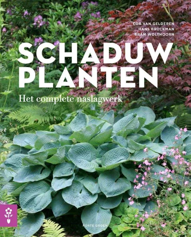 Schaduwplanten Exclusieve Aanbieding