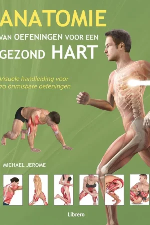 Veilige Betaling Anatomie van oefeningen voor een gezond hart (pb)