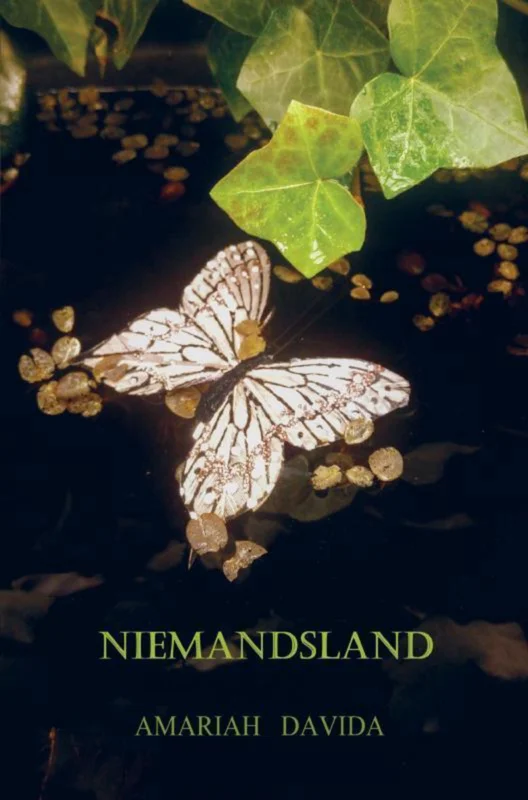 Uitverkoop Niemandsland